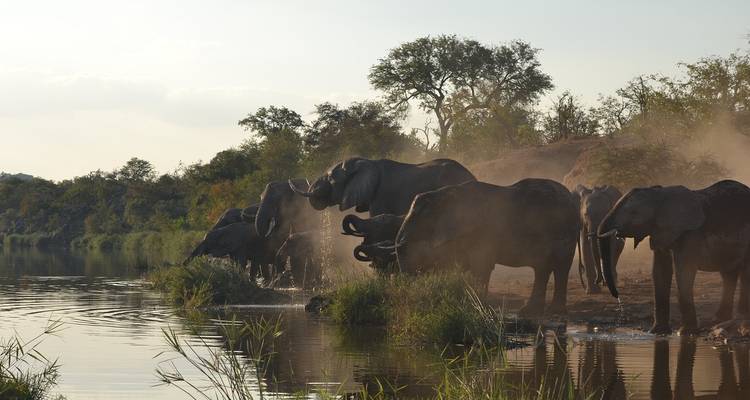 Ultimate South Africa Golf and Safari Adventure 12 Days /11 Nights - Across Africa Tours & Travel 7