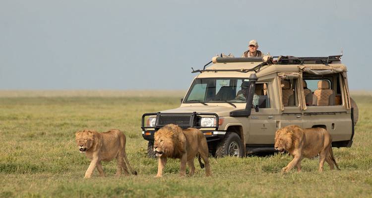 Experiencia de Aventura de por Vida de 10 Días - Professional Safari Africa 2