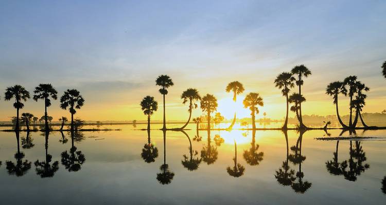 Zonsopgang boven palmbomen weerspiegeld in rustig water.