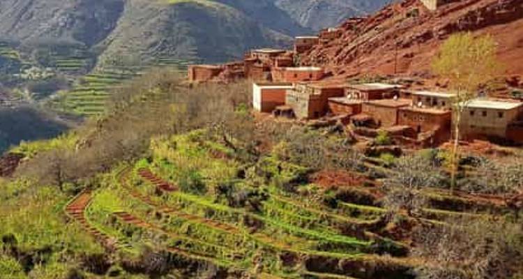 Terraced fields and traditional buildings on a mountainside.