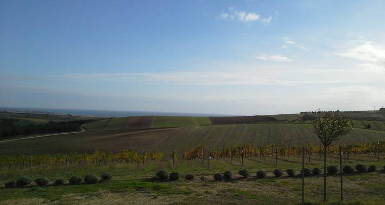 Istanbul Thrace Winery Group Tour - Fez Travel 1