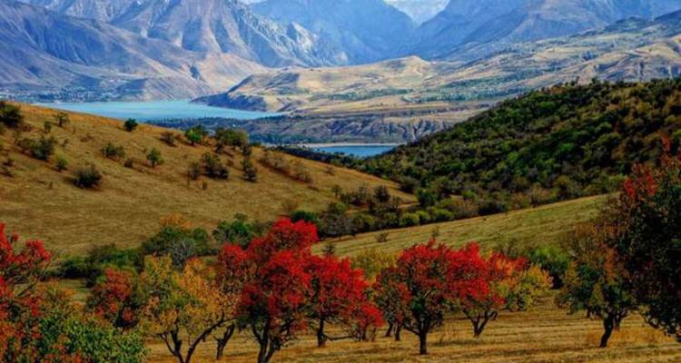 Explora el corazón de Uzbekistán - Receptivo Aborigen Tours 2