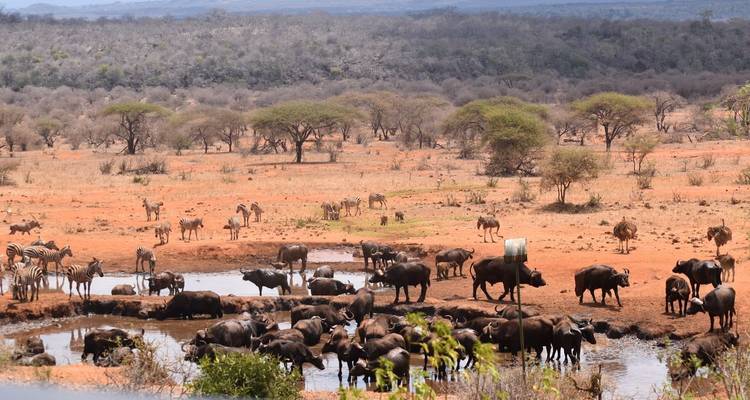 Safari de 12 días por Kenia con excursión a la playa de Nyali - CKC Tours & Travel 3