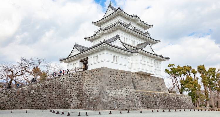 Instantáneas de Corea y Japón con Hakone - Europamundo 5