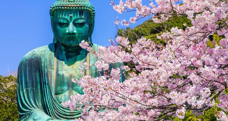 Instantáneas de Corea y Japón con Hakone - Europamundo 10