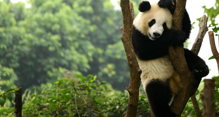 Naturaleza y Tradición de China y Yunnan - Europamundo 10