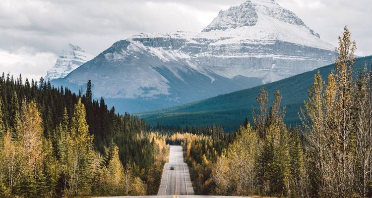 Weg die door een bos naar met sneeuw bedekte bergen leidt
