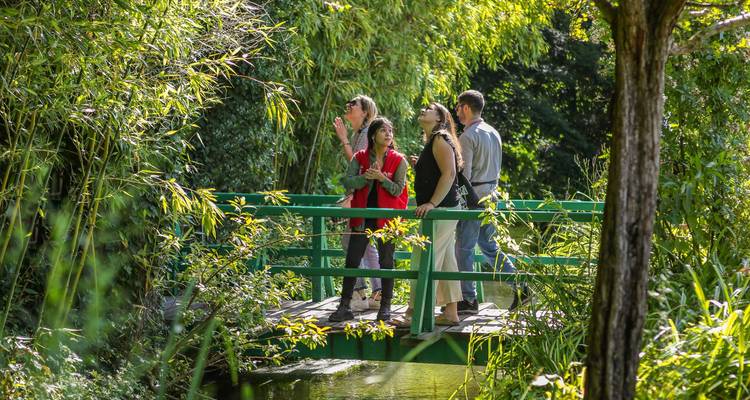 Groupe de touristes sur un pont dans une zone verte.