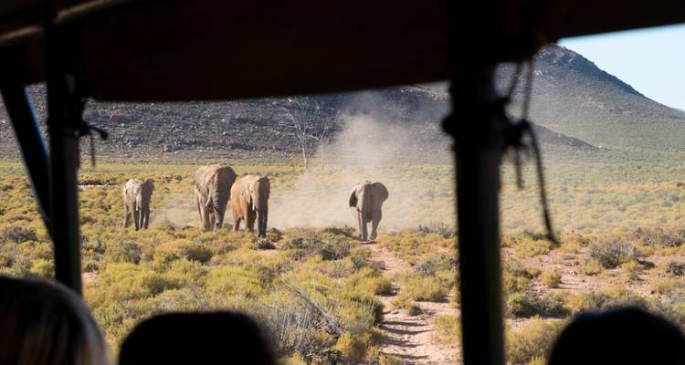 Safari de 2 jours en 4x4 avec les Big Five dans la réserve de chasse d'Aquila - Knap Tours Limited 3