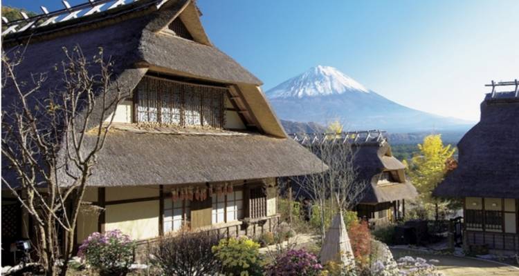 11 jours d'exploration du parc des singes des neiges du centre du Japon（Guide et chauffeur privés） - UME Travel Co. Ltd 1