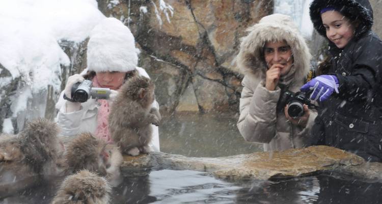 11 jours d'exploration du parc des singes des neiges du centre du Japon（Guide et chauffeur privés） - UME Travel Co. Ltd 6