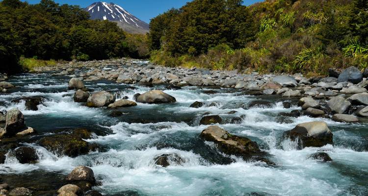 Signature | Circuit inspirant de l'île du Nord - Great Journeys New Zealand 3