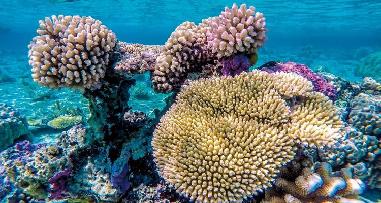 Dream destination Polynesia - Cook Islands - DERTOUR 4
