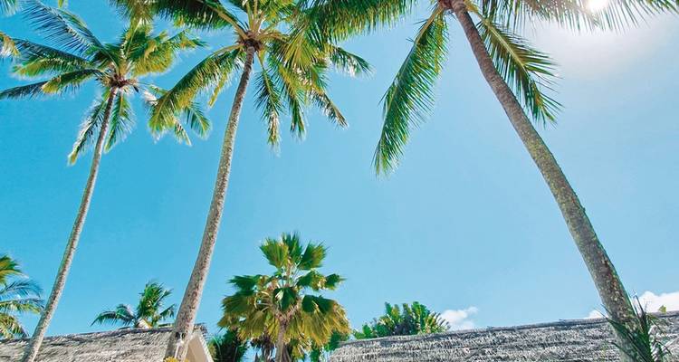 Dream destination Polynesia - Cook Islands - DERTOUR 8