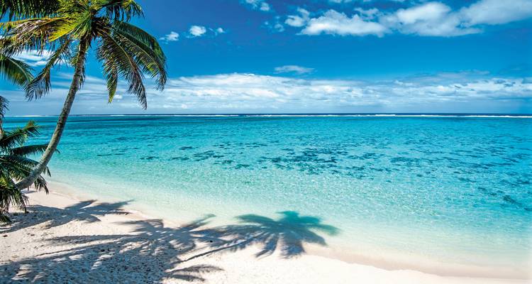 Tropischer Strand mit klarem blauen Wasser und Palmen