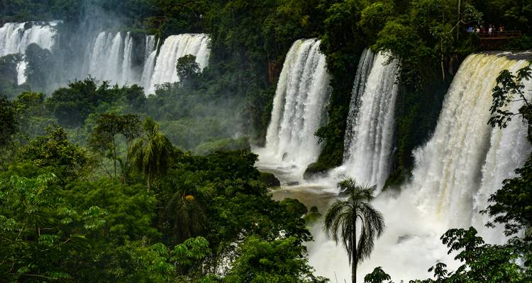 Iguazú de 2 días: Excursión a las Cataratas Mágicas de Luna Llena con billete de avión desde Buenos Aires - Signature DMC 8
