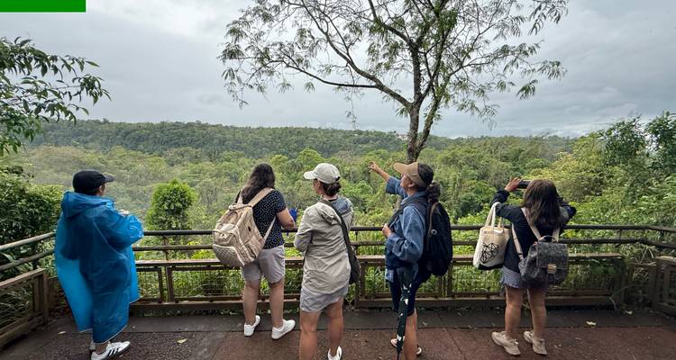 Des touristes profitant de la vue sur une forêt luxuriante depuis un point de vue.