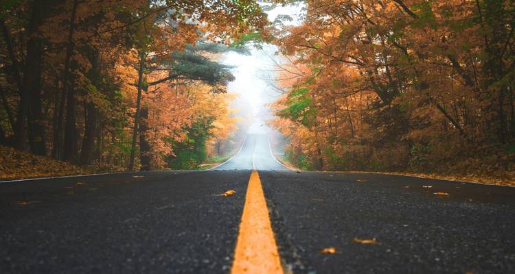 The Colors of Autumn: New England Edition - WeVenture 1