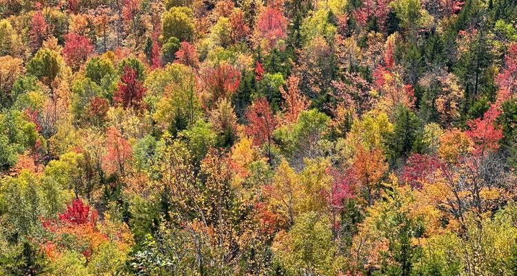 The Colors of Autumn: New England Edition - WeVenture 3