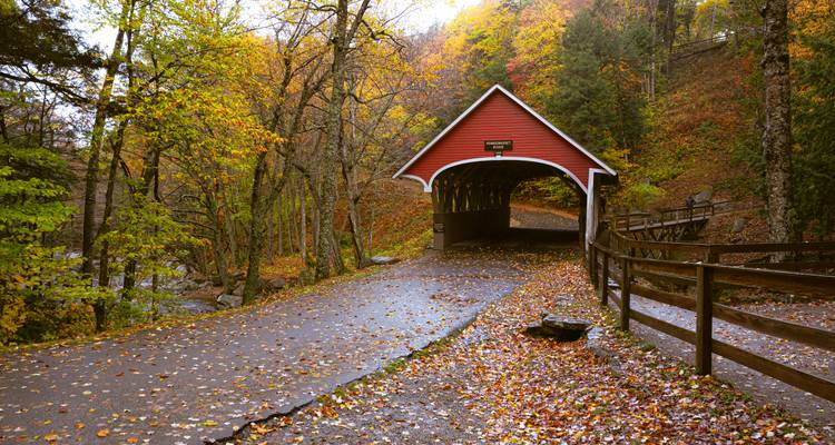 The Colors of Autumn: New England Edition - WeVenture 6