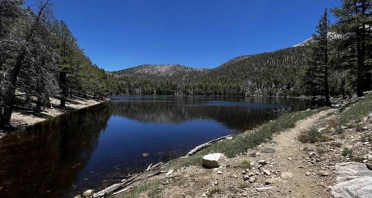 Le cercle des parcs nationaux de Californie : Sand to Snow, Joshua Tree, Vallée de la Mort et Yosemite - WeVenture 1