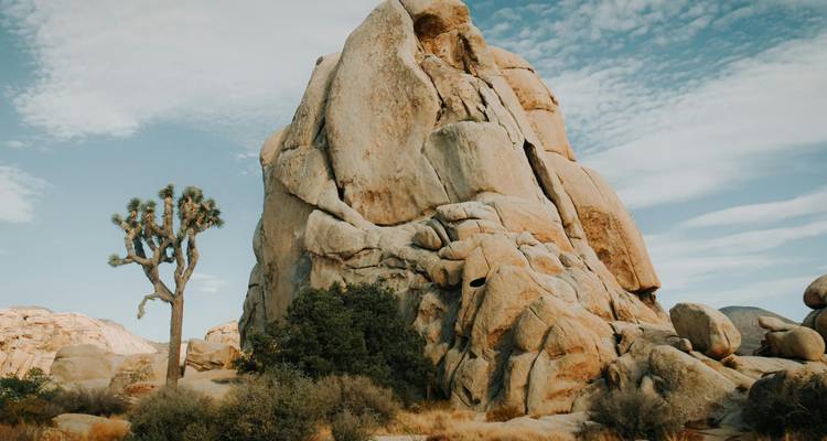 Le cercle des parcs nationaux de Californie : Sand to Snow, Joshua Tree, Vallée de la Mort et Yosemite - WeVenture 4