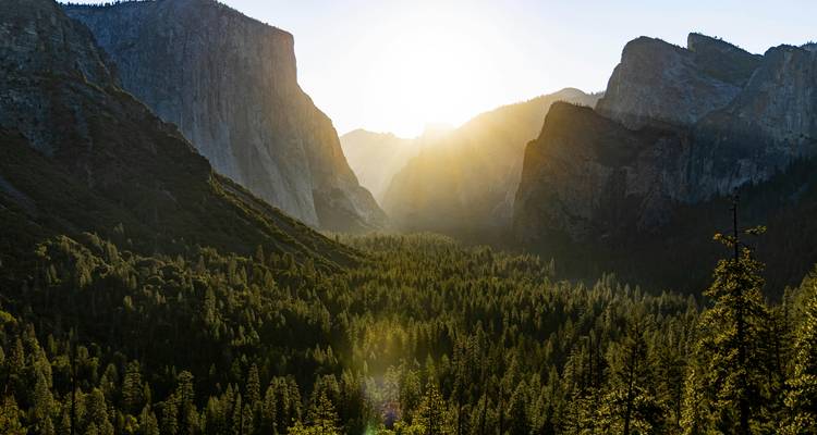 Le cercle des parcs nationaux de Californie : Sand to Snow, Joshua Tree, Vallée de la Mort et Yosemite - WeVenture 8