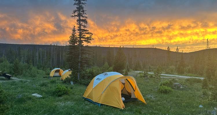 Le cercle des parcs nationaux de Californie : Sand to Snow, Joshua Tree, Vallée de la Mort et Yosemite - WeVenture 9
