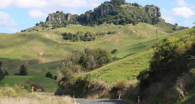 Classic | Northern Highlights Tour - Great Journeys New Zealand 7