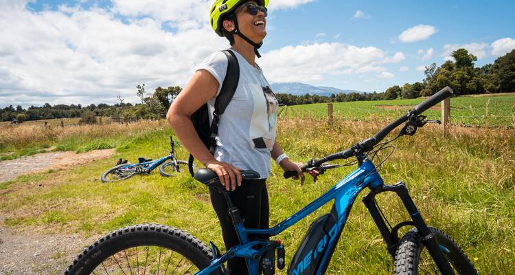 Classic | Northern Highlights Tour - Great Journeys New Zealand 3