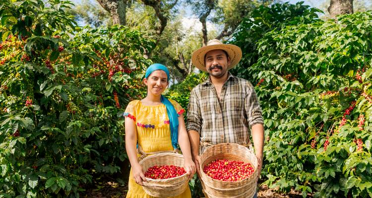 Viva Colombia : Coffee, Colours & Caribbean Vibes ! (7 destinations) - journaway 2