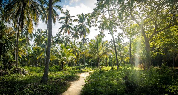 La liste des choses à faire en Colombie : Jungle, plage et rythmes tropicaux (9 destinations) - journaway 7