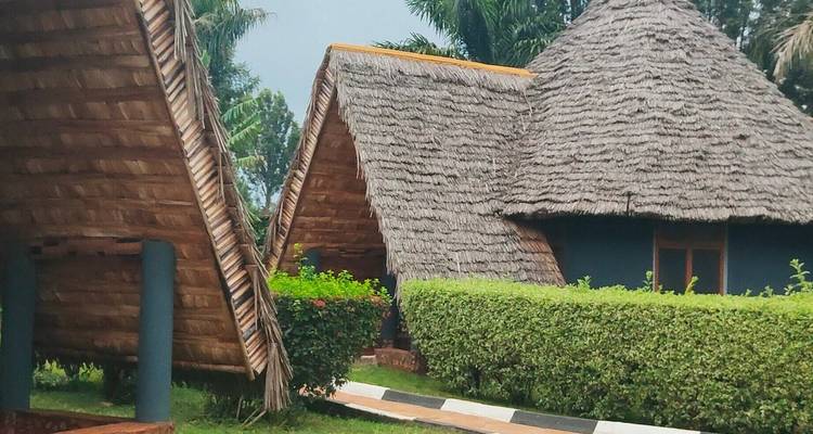 9-Day Serengeti Wildebeest Migration Safari Experience - Professional Safari Africa 2