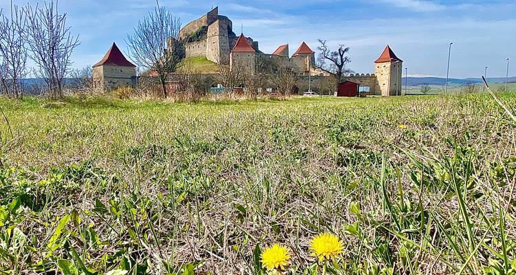 Medieval Wonders of Transylvania: 3-Day Small Group Tour from Brașov - Active Travel 7
