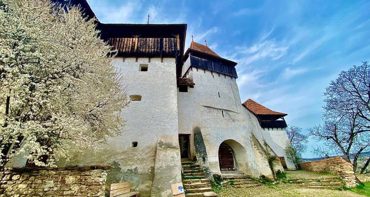 Medieval Wonders of Transylvania: 3-Day Small Group Tour from Brașov - Active Travel 3