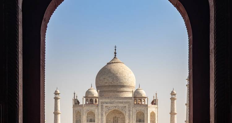 ¡Viaje a Delhi, Agra y Jaipur con safari en la jungla con tigres! -  Taj Voyages Tours  7