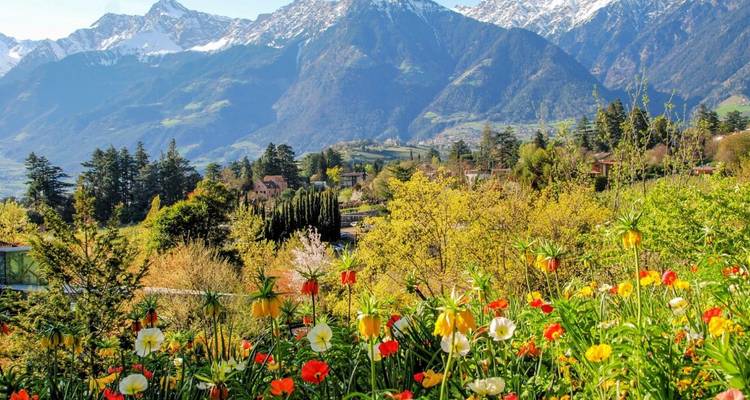 Individual Alpine Crossing Oberstdorf - Merano with Hotel Comfort - World of Mountains GmbH 3