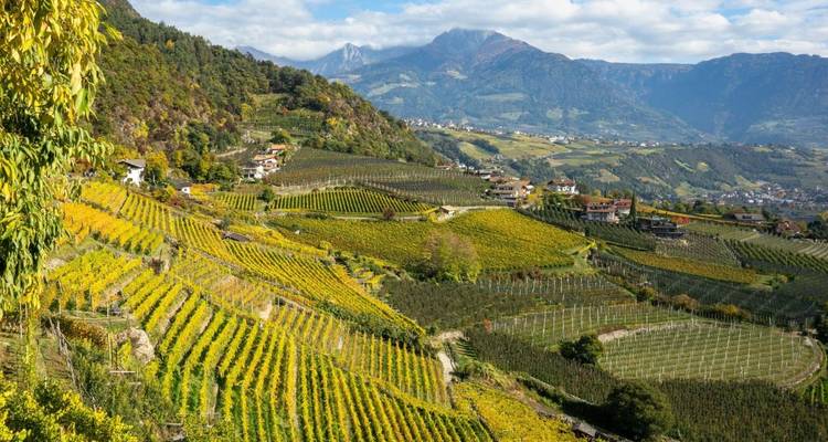 Individual Alpine Crossing Oberstdorf - Merano with Hotel Comfort - World of Mountains GmbH 10