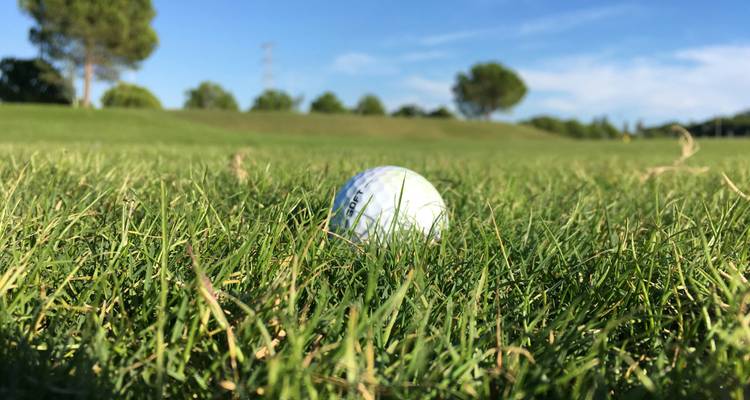 Golf Cruise on the Rhine (Basel - Amsterdam) (10 destinations) (10 destinations) - Lueftner Cruises 4