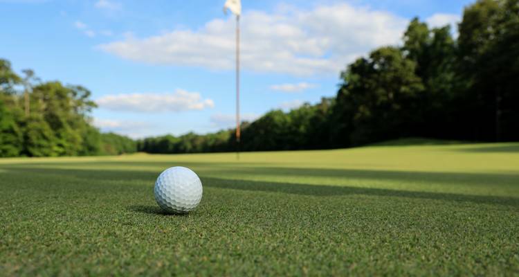 Golf Cruise on the Rhine (Basel - Amsterdam) (10 destinations) (10 destinations) - Lueftner Cruises 2