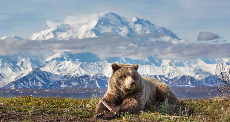 Las Rocosas con Alaska por mar y tierra Victoria → Fairbanks (2026) - APT 1