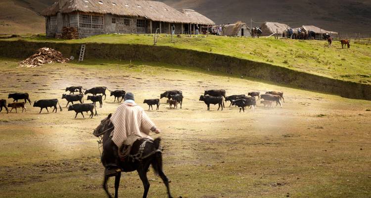 Chagras (Andean Cowboys) Way - Tierra del Volcan 4