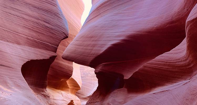 4 días Las Vegas+Parque Nacional del Gran Cañón+Cañón del Antílope+Horseshoe Bend(Bilingüe: Chino+Inglés) - Intertrips 9