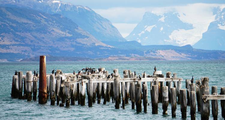 Oude houten pier met vogels en bergachtige achtergrond.