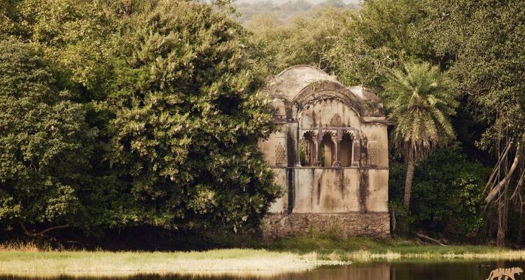 Ancienne structure entourée d'une végétation luxuriante et d'eau