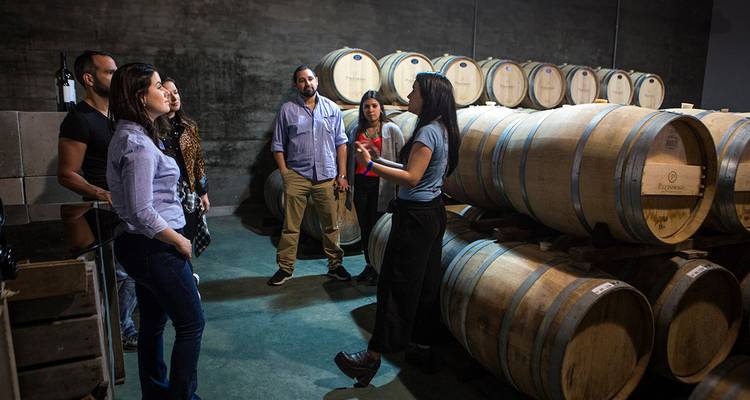 5 Días Vinos de Uruguay: Montevideo y viñedos encantadores - Responsible Travel South America 1