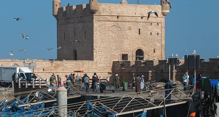 Experience the Best of Marrakesh: 7-Day Private Tour - Morocco Flawless Travels 2
