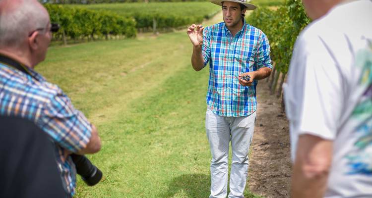 6 jours en Uruguay : Culture, vin et côte - Responsible Travel South America 3