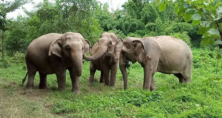 Excursión Privada de 3 Días por los Lugares Destacados de Kanchanaburi - Royal Silk Holidays 2