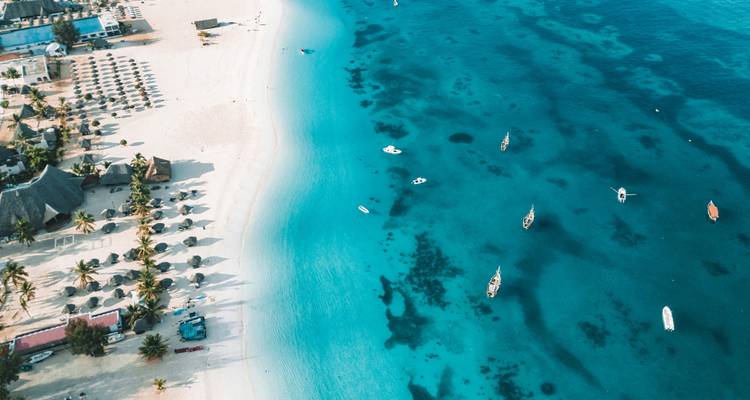 Retraite Blossom Bliss : Zanzibar - Culture Holidays Private Limited 1